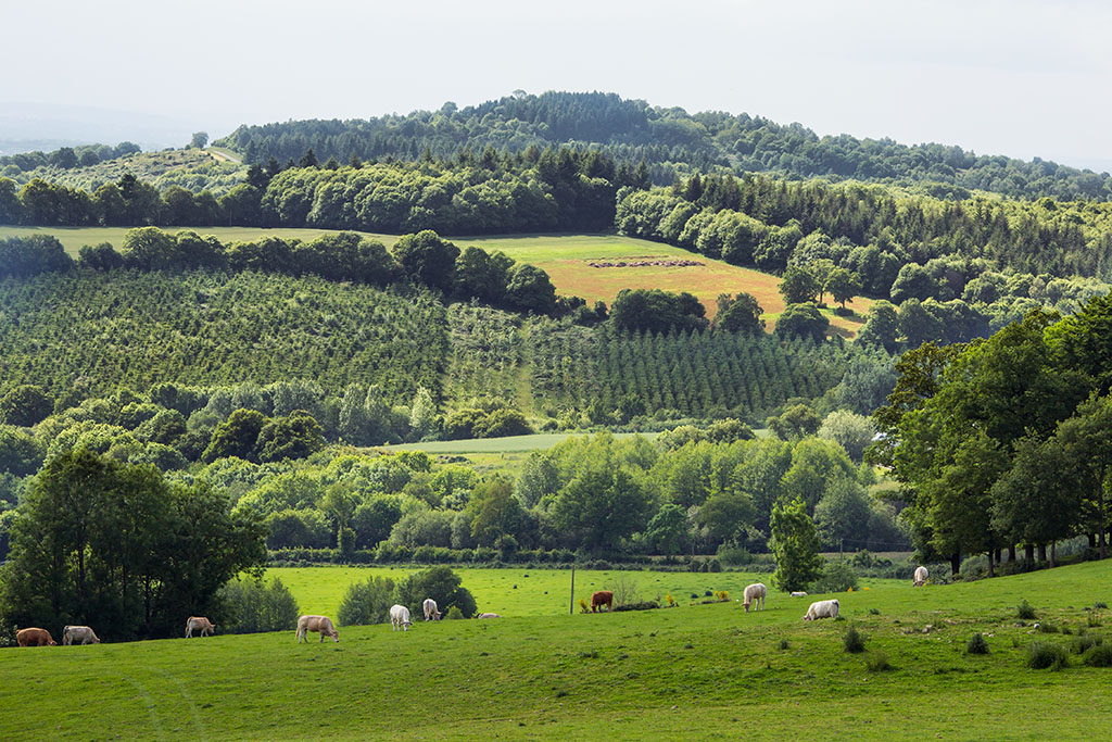 Site Du Mont-Rochard