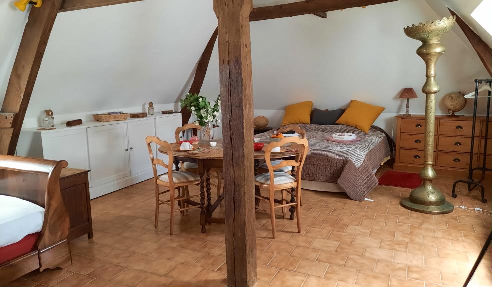2023-Sainte-Suzanne-Chat-hirsute-chambre2