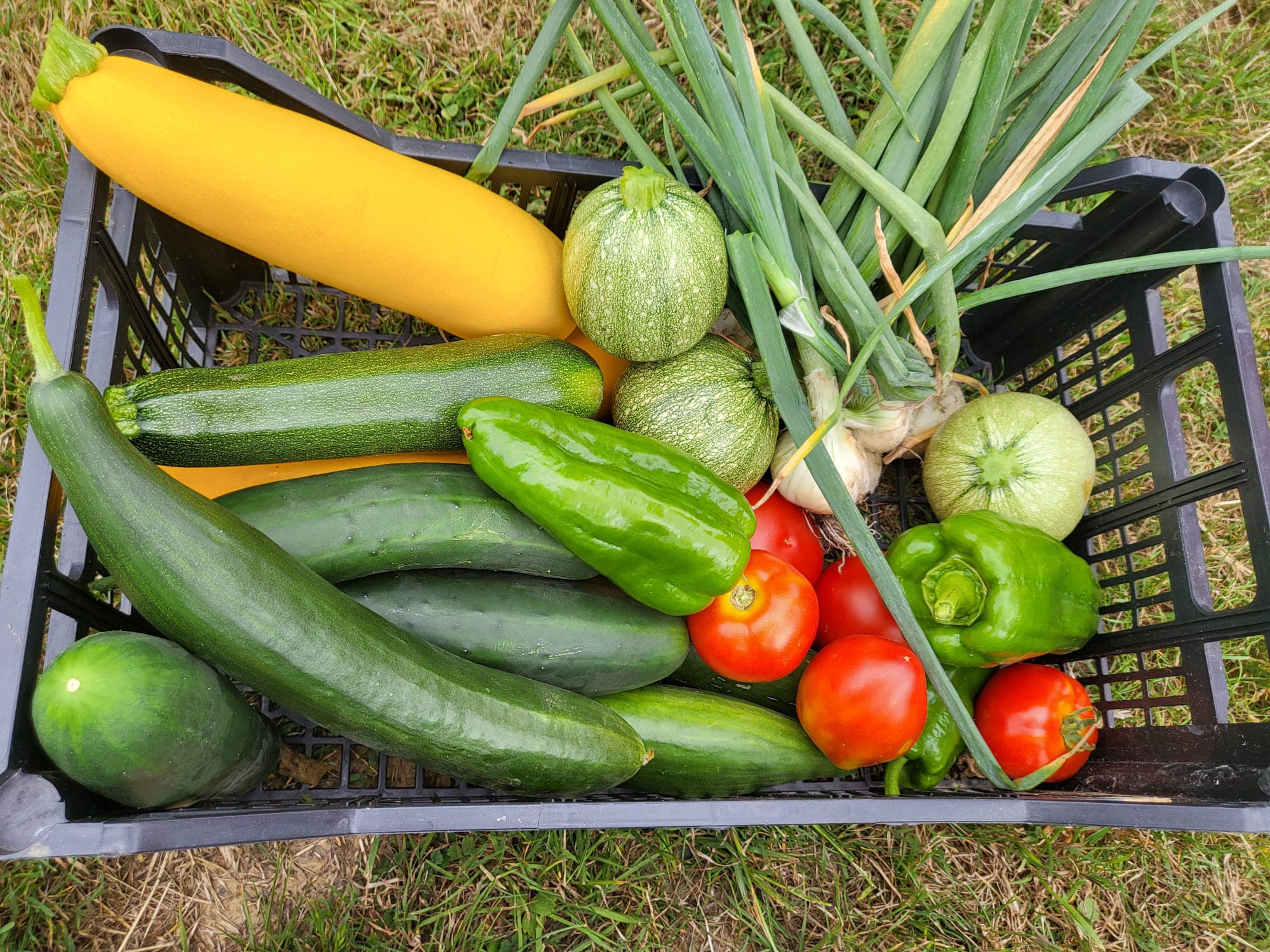 Le jardin de la butt’ à vent