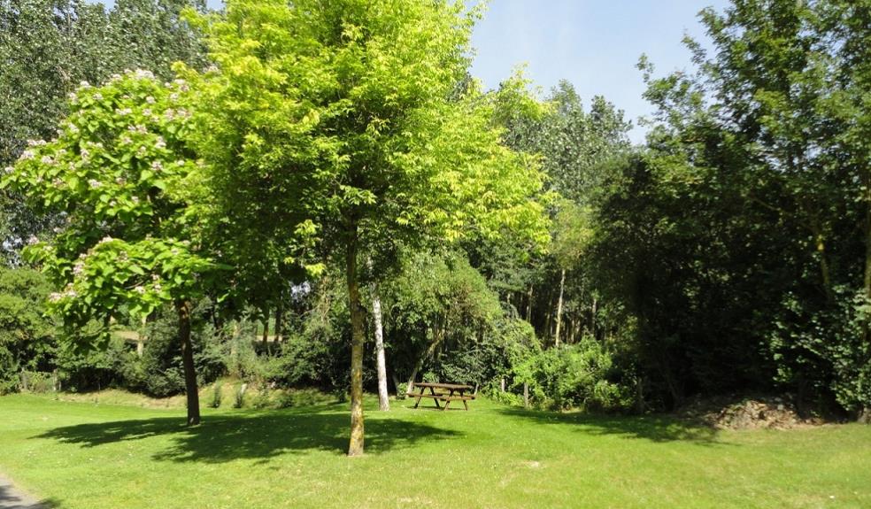 PCU53-Chapelle-du-torticolis-chatres-la-foret