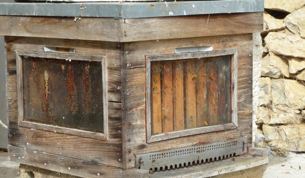 PROD53ruches ferme aux abeilles(3) redimensionné