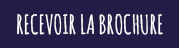 bouton-recevoir-brochure
