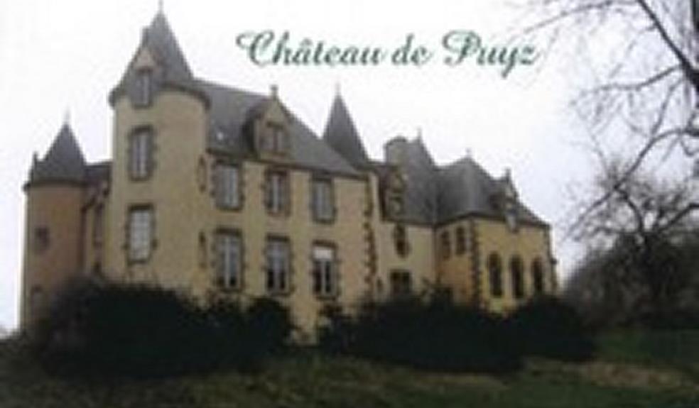 chateau_du_puyz (Copier)