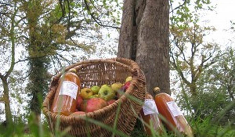 panier pommes et jus de pomme