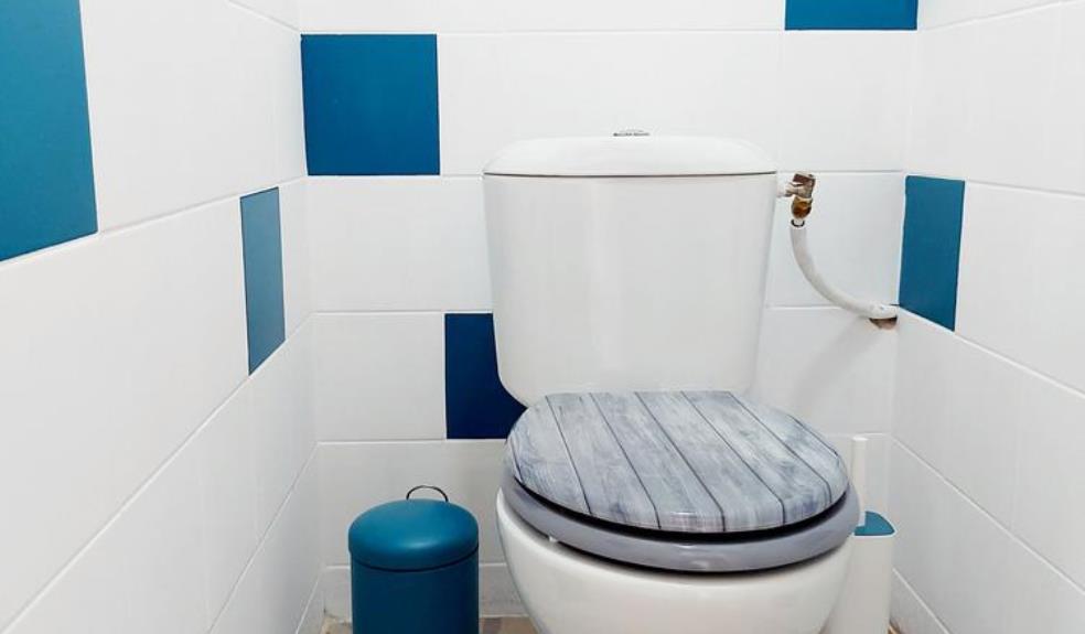 toilette